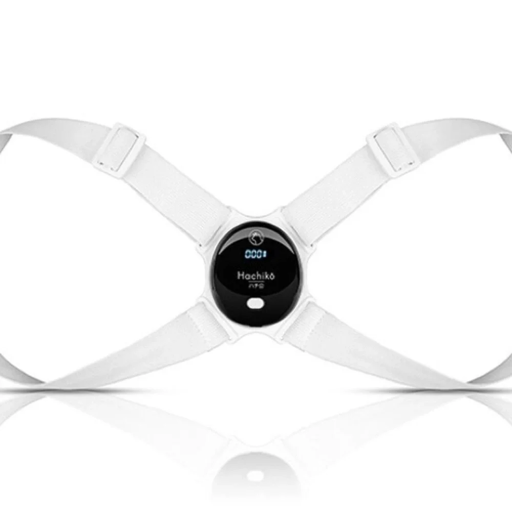 Hachiko - Perfect Posture Training System New in box